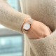 Ceas Dama, Bering, Classic 11927-366-1