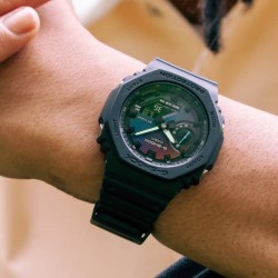 Ceas Barbati, Casio G-Shock, Classic GA-2 GA-2100RW-1AER