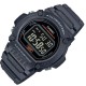 Ceas Barbati, Casio, Collection W-21 W-219H-8B