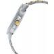 Ceas Barbati, Casio, Collection MTP-VD MTP-VD300SG-1EUD