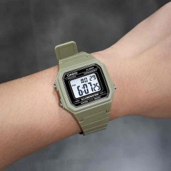 Ceas Barbati, Casio, Collection W-21 W-217H-5AVDF