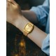 Ceas Casio, Vintage Edgy AQ-240EG-9AEF