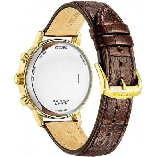 Ceas Barbati, Citizen, Chronograph CA7062-15A