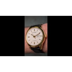 Ceas Barbati, Citizen, Mechanical Day-Date NY4059-09AE