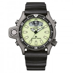 Ceas Barbati, Citizen, ProMaster Aqualand JP2007-17W