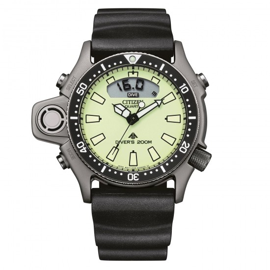 Ceas Barbati, Citizen, ProMaster Aqualand JP2007-17W