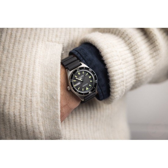 Ceas Barbati, Citizen, Promaster Dive NY0120-52E
