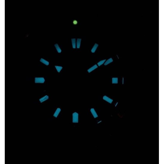 Ceas Barbati, Citizen, Promaster Eco-Drive BN0201-88L