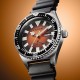 Ceas Barbati, Citizen, Promaster Mechanical Diver NY0120-01ZE