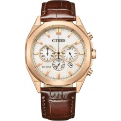 Ceas Barbati, Citizen, Sports CA4593-15A