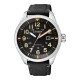Ceas Barbati, Citizen, Trendy AW5000-24E