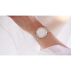 Ceas Dama, Citizen, 10th Anniversary EM1006-40A, Cu bratara suplimentara