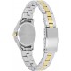 Ceas Dama, Citizen, Basic EU6074-51D