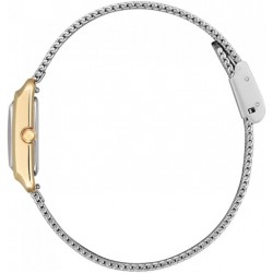 Ceas Dama, Citizen, Elegance EW5596-66X
