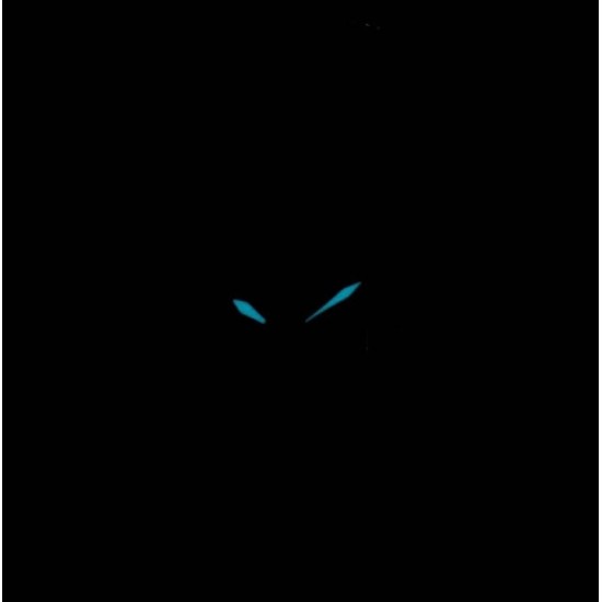 Ceas Dama, Citizen, Silhouette EW1262-55P