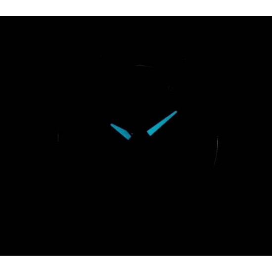 Ceas Dama, Citizen, Super Titanium EW2210-53L