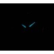 Ceas Dama, Citizen, Super Titanium EW2210-53L