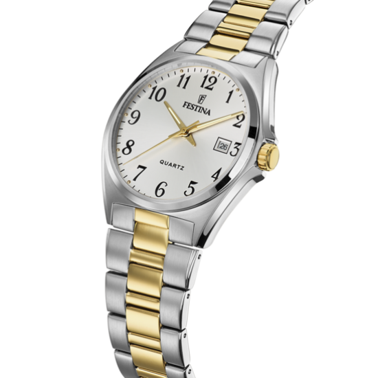 Ceas Barbati, Festina, Classic F20554/1