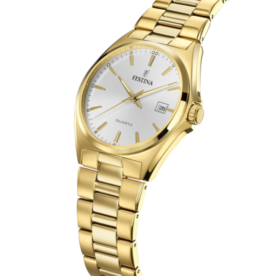 Ceas Barbati, Festina, Classic F20555/2