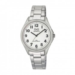 Ceas Barbati, Q&Q by Citizen, Standard C192J204Y