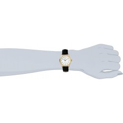Ceas Dama, Q&Q, Classic C169J104Y