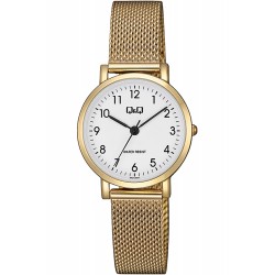 Ceas Dama, Q&Q, Standard QA21J054Y