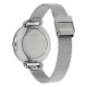 Ceas Dama, Skagen, Hagen SKW2582