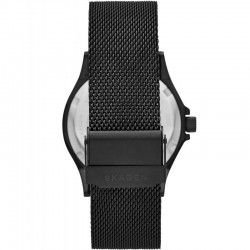 Ceas Skagen, Fisk SKW2917
