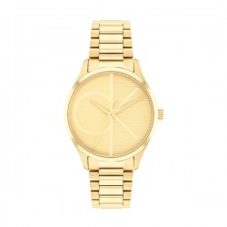 Ceas Dama, Calvin Klein, Iconic 25200346