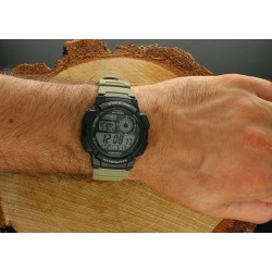 Ceas Barbati, Casio, Collection AE AE-1000W-5AVEF