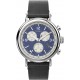 Ceas Barbati, Timex, Standard TW2V71100