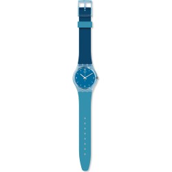 Ceas Swatch, Fraicheur GS161