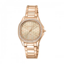 Ceas Dama, Just Cavalli, Glam Chic JC1L263M0075