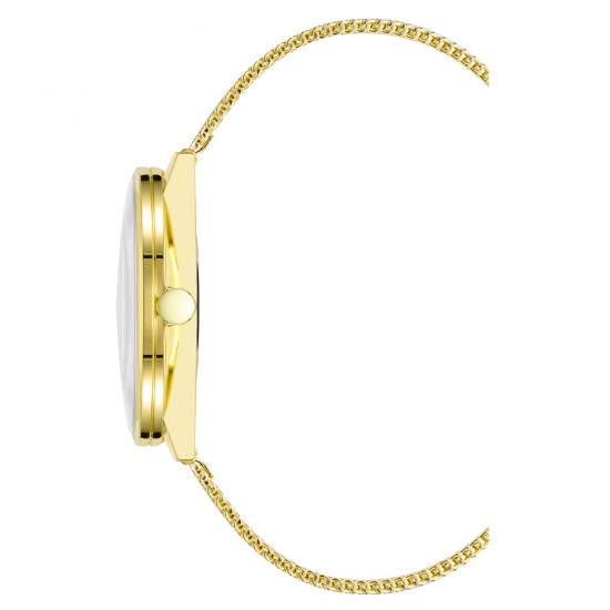 Ceas Dama, Nine West, Collection NW-2668CHGB