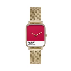 Ceas Dama, Skagen, Ryle x Pantone SKW3075