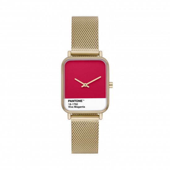 Ceas Dama, Skagen, Ryle x Pantone SKW3075 Ceas Dama, Skagen, Ryle x Pantone SKW3075