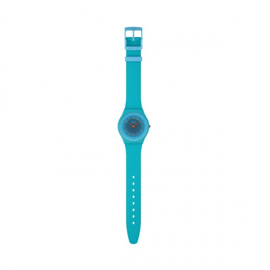 Ceas Swatch, Skin SS08N114