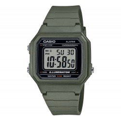Ceas Casio, Collection W-21 W-217H-3AVDF