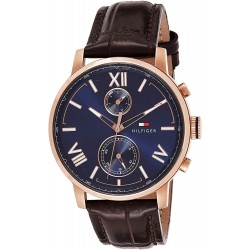 Ceas Barbati, Tommy Hilfiger, Alden 1791308