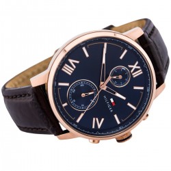 Ceas Barbati, Tommy Hilfiger, Alden 1791308