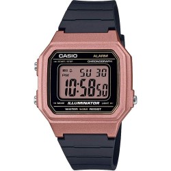 Ceas Casio, Collection W-21 W-217HM-5A