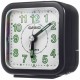 Ceas De Birou, Casio, Wake Up Timer TQ-141-1E