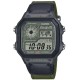 Ceas Barbati, Casio, Collection AE AE-1200WHUB-3AVEF