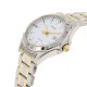 Ceas Barbati, Casio, Collection MTP-13 MTP-1308SG-7AVDF