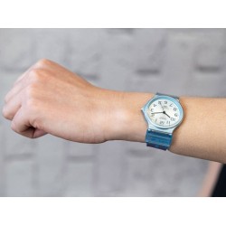 Ceas Casio, Collection MQ-24S-2BEF