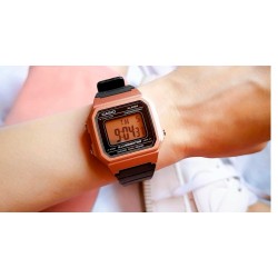 Ceas Casio, Collection W-21 W-217HM-5A