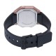 Ceas Casio, Collection W-21 W-217HM-5A
