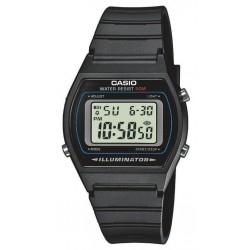 Ceas Casio, Collection W-20 W-202-1A