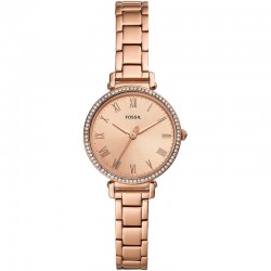 Ceas Dama, Fossil, Kinsey ES4447