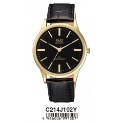 Ceas Barbati, Q&Q by Citizen, Standard C214J102Y